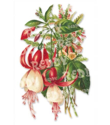 Preview: 3D Stanzbogen Rosen, Fuchsien