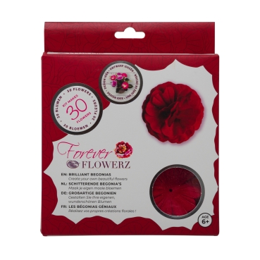 Flowerz Brilliant Begonias Red