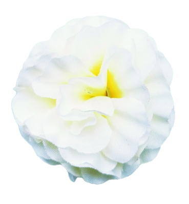 Preview: Flowerz Brilliant Begonias White
