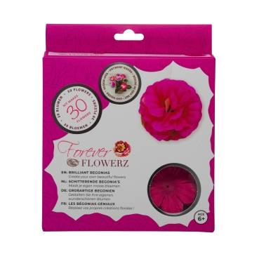 Preview: Flowerz Brilliant Begonias Fuchsia