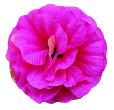 Flowerz Brilliant Begonias Fuchsia