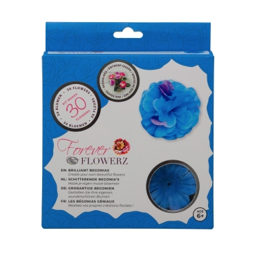 Flowerz Brilliant Begonias Topaz