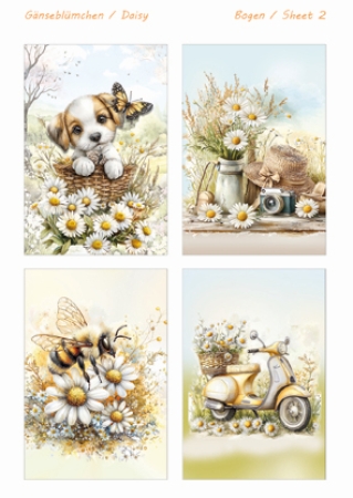 Preview: Reddy Cards Bastelset Sommergrüße mit Gänseblümchen