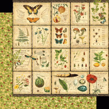 Preview: Graphic 45 Nature Notebook Deluxe Collector's Edition