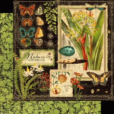 Preview: Graphic 45 Nature Notebook Deluxe Collector's Edition