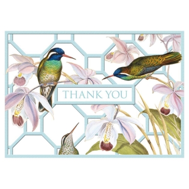 Danksagungs-Karten mit Umschlägen Hummingbird Trellis Thank You Notes