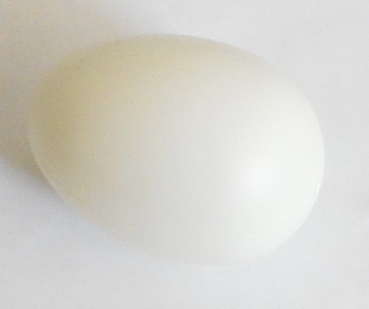 Kunststoffei weiß 6,5 cm
