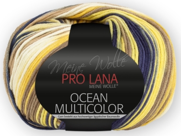PRO LANA Ocean Multicolor Farbe 81