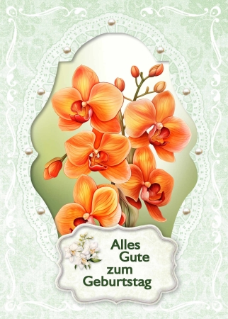 Reddy Cards Bastelset Orchideen