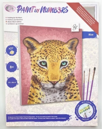 Craft Buddy PBN3040D Painting by Numbers Framed Kit Malen nach Zahlen Rise