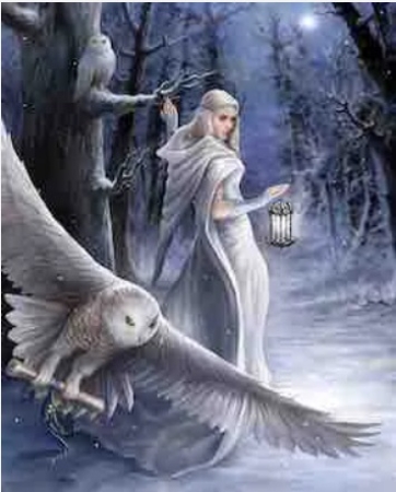 Preview: Craft Buddy PBN013 Painting by Numbers Framed Kit Malen nach Zahlen Midnight Messenger