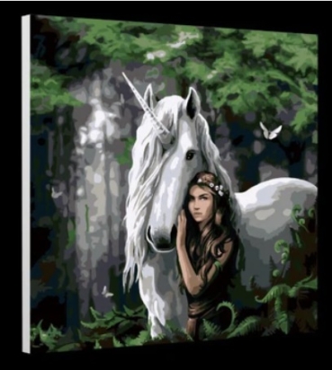 Preview: Craft Buddy PBN5050E Painting by Numbers Framed Kit Malen nach Zahlen Forest Maiden