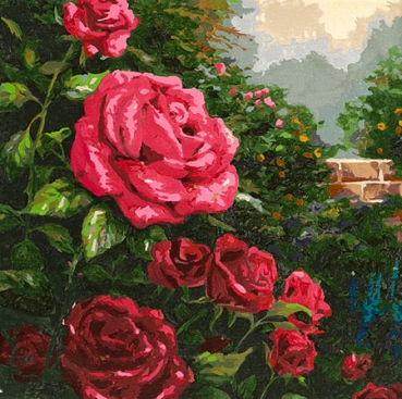 Craft Buddy PBN-TK3030-64 Painting by Numbers Framed Kit Malen nach Zahlen A Perfect Red Rose