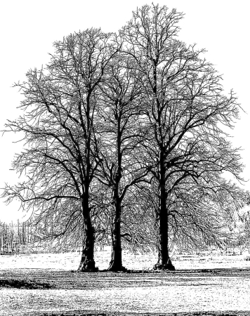 Crafty Individuals Unmounted Rubber Stamps Tree Trio