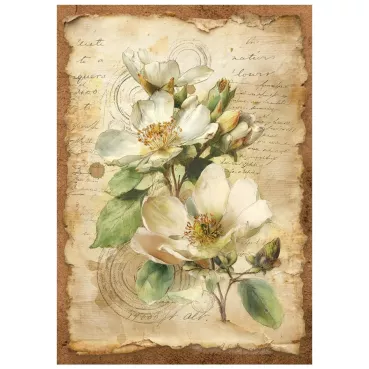 Preview: Stamperia A6 Mini Rice Paper Selection All Around
