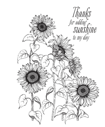 Spellbinders Sunflower Field Press Plate
