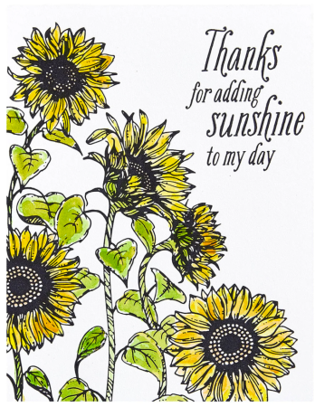 Preview: Spellbinders Sunflower Field Press Plate