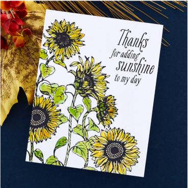 Spellbinders Sunflower Field Press Plate