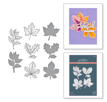 Preview: Spellbinders Press Plate & Die Set Autumn Leaves