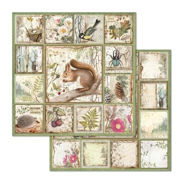 Stamperia 12 x 12 inch Paper Sheets / Papiere Framed Squirrel