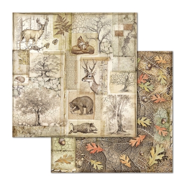 Stamperia 12 x 12 inch Paper Pack / Papiere Forest