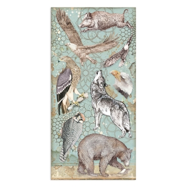 Stamperia Collectables 10 sheets Cosmos Infinity