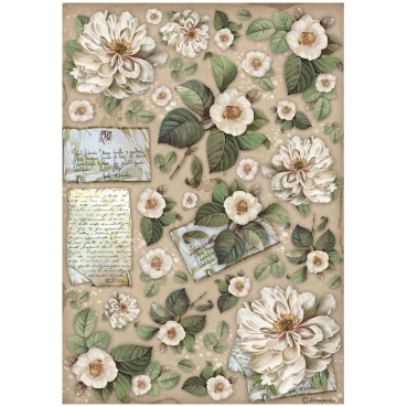 Preview: Stamperia Rice Paper Reispapier A4 Vintage Library Set mit 6 Papieren