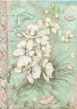 Stamperia Orchids and Cats Reispapier A4 White Orchid