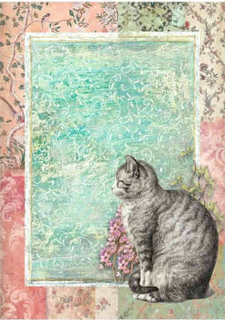 Preview: Stamperia A6 Rice Paper Reispapier Set Backgrounds Orchids and Cats