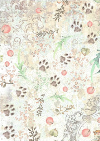 Preview: Stamperia A6 Rice Paper Reispapier Set Backgrounds Orchids and Cats