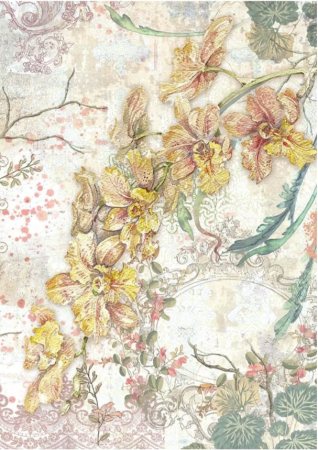 Stamperia A6 Rice Paper Reispapier Set Backgrounds Orchids and Cats