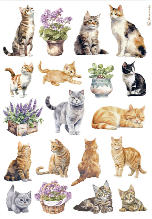 Stamperia A4 Reispapier Rice Paper Cats