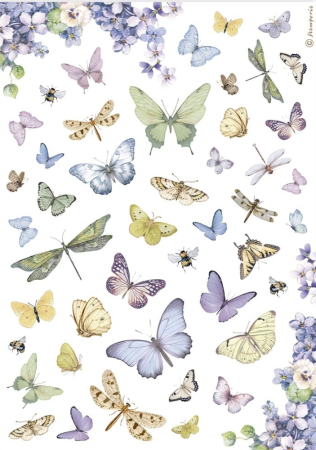 Stamperia A4 Reispapier Rice Paper Butterfly