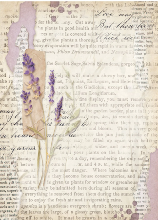Preview: Stamperia Rice Paper Reis Papier A6 Set mit 8 Stück Backgrounds Lavender