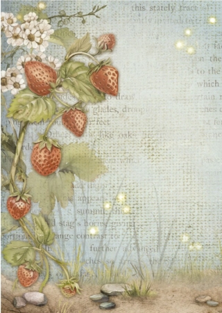 Preview: Stamperia A6 Backgrounds Reispapier Rice Paper Selection 8 Backgrounds Hidden Grove