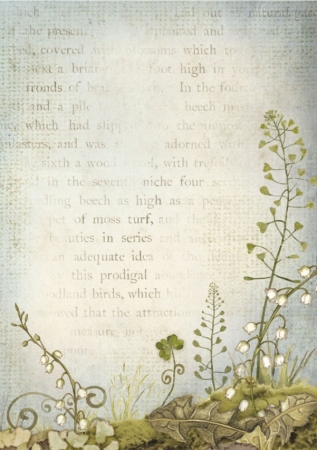 Preview: Stamperia A6 Backgrounds Reispapier Rice Paper Selection 8 Backgrounds Hidden Grove
