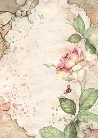 Preview: Stamperia A6 Backgrounds Reispapier Rice Paper Selection 8 Backgrounds House of Roses