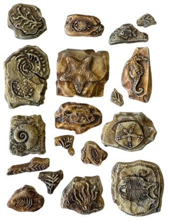 Preview: Stamperia Soft Mould A5 Silent Sea Fossils
