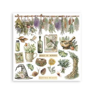 Preview: Stamperia Rub-On 10,16 x 21,6 cm Assortment Herbarium Silvae