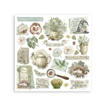 Stamperia Rub-On 10,16 x 21,6 cm Assortment Herbarium Silvae