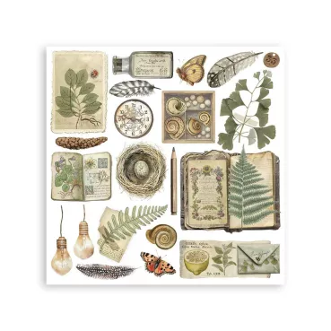 Stamperia Rub-On 10,16 x 21,6 cm Assortment Herbarium Silvae