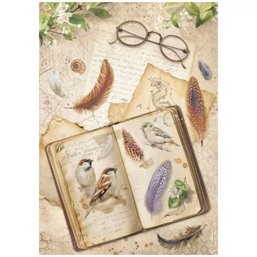 Stamperia A4 Rice Paper Reispapier All Around Paper Book