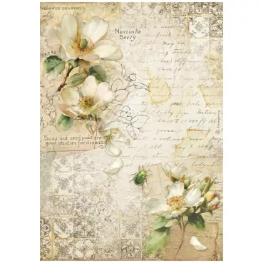 Stamperia A4 Rice Paper Reispapier All Around Camellia
