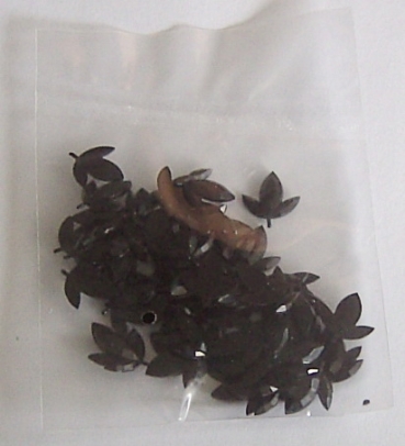 Steinchen schwarz