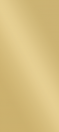 Knorr Prandel Wachsplatte 17,5 x 8 cm matt goldfarben