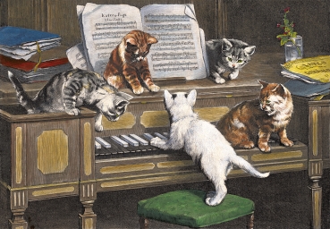 Adventskalender Katzenfuge