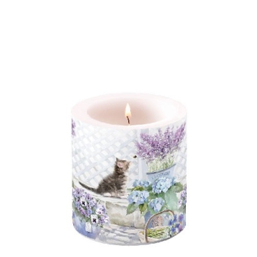Ambiente 8 x 7 cm Small Kitten