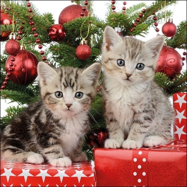 Ambiente Lunch Serviette 33 x 33 cm pro Stück Christmas Kitten