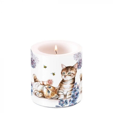 Ambiente 8 x 7 cm Kerze Cats and Bees