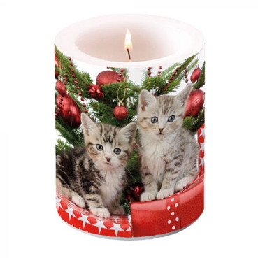 Ambiente 12 x 10 cm Kerze BIG Christmas Kitten